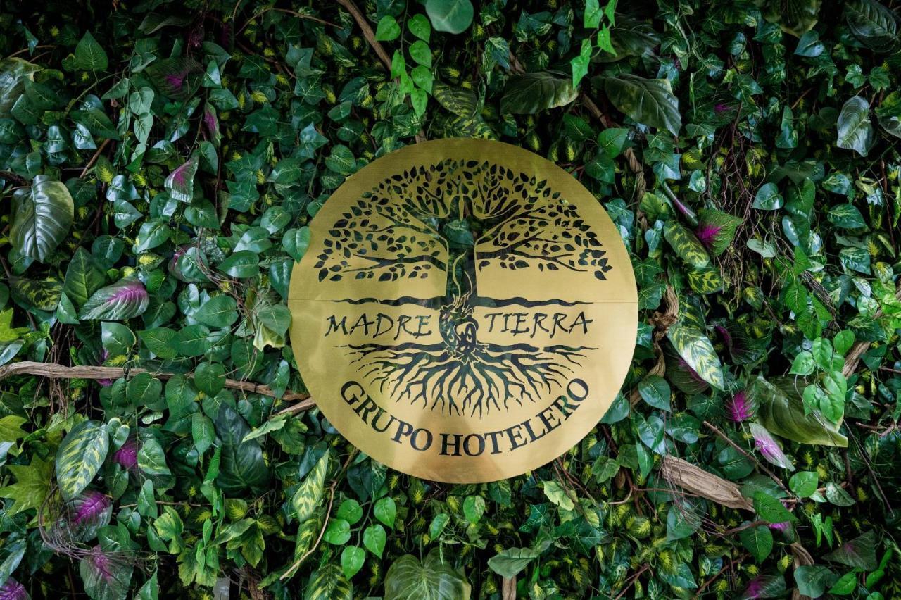Hotel Boutique Madre Tierra マスンテ エクステリア 写真