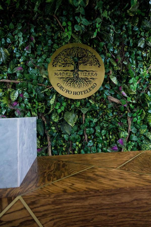 Hotel Boutique Madre Tierra マスンテ エクステリア 写真